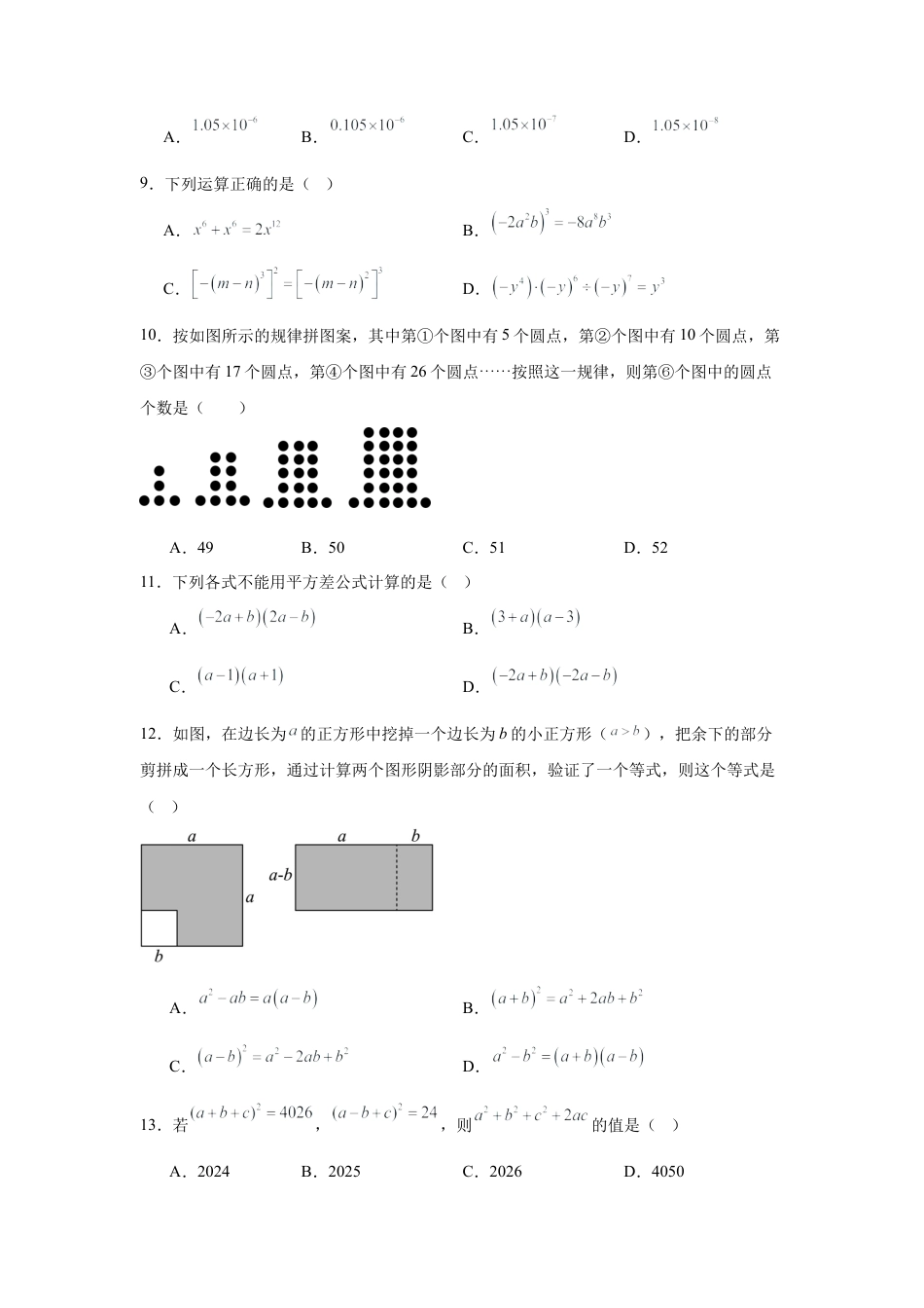 鲁教版（五四制）六年级下册第八章整式的乘除单元复习2025.docx_第2页