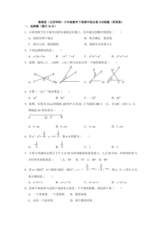 鲁教版（五四制）六年级数学下册期中复习训练题.docx