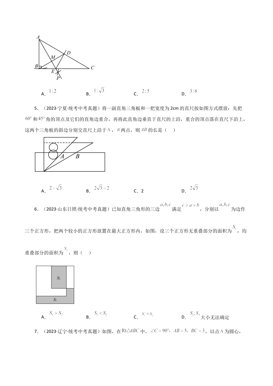 数学七年级上册（鲁教版）专题2.6 特殊三角形（直通中考）（提升练）-（鲁教版）.docx_第2页