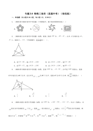 数学七年级上册（鲁教版）专题2.6 特殊三角形（直通中考）（提升练）-（鲁教版）.docx