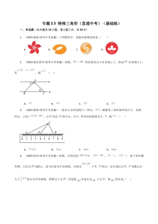 数学七年级上册（鲁教版）专题2.5 特殊三角形（直通中考）（基础练）-（鲁教版）.docx