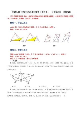 数学七年级上册（鲁教版）专题1.10 全等三角形几何模型（手拉手）（分层练习）（培优篇）-（鲁教版）.docx