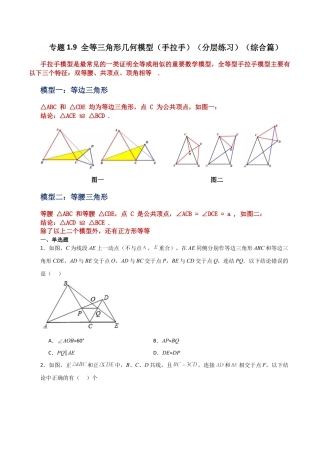 数学七年级上册（鲁教版）专题1.9 全等三角形几何模型（手拉手）（分层练习）（综合篇）-（鲁教版）.docx