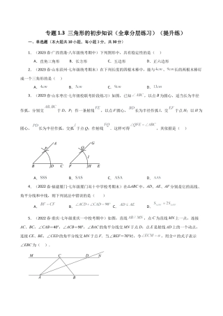 数学七年级上册（鲁教版）专题1.3 三角形的初步知识（全章分层练习）（提升练）-（鲁教版）.docx