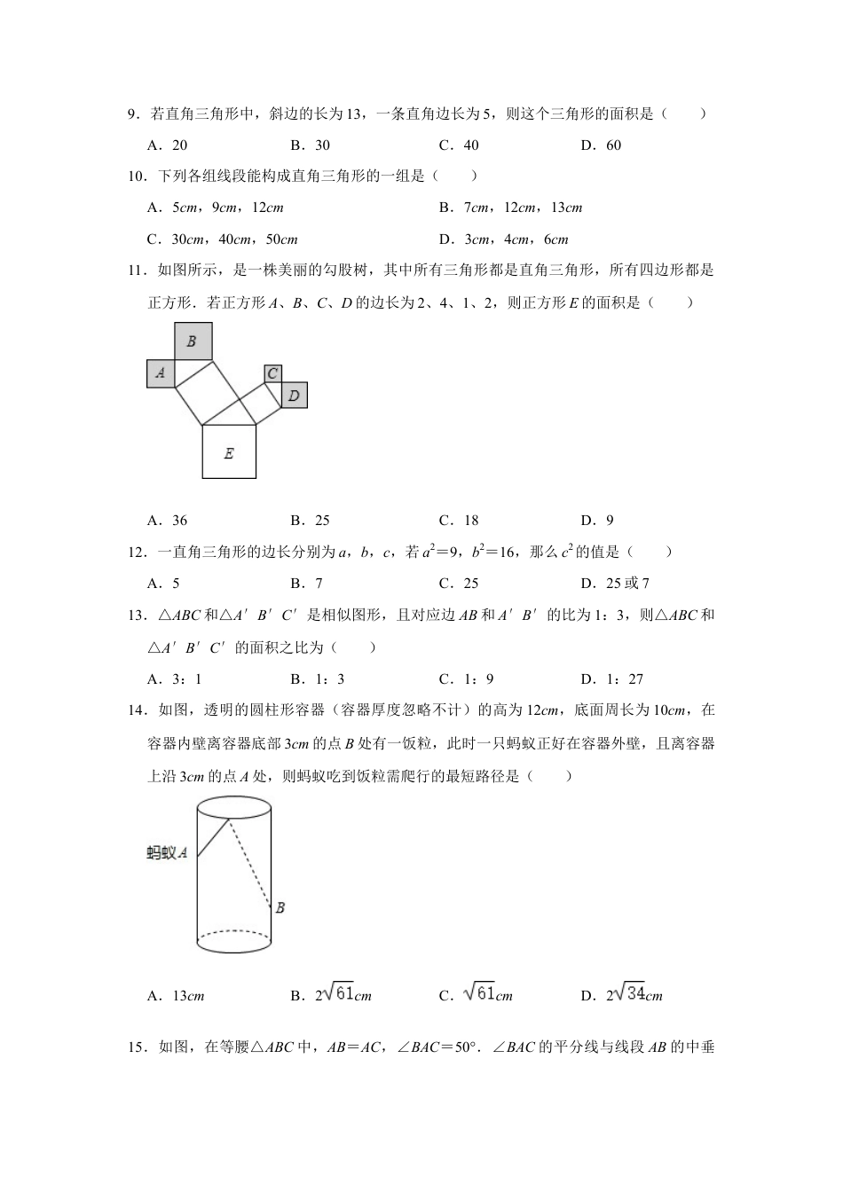 第三章《勾股定理》单元测试卷  --鲁教版（五四制）七年级数学上册 .docx_第2页