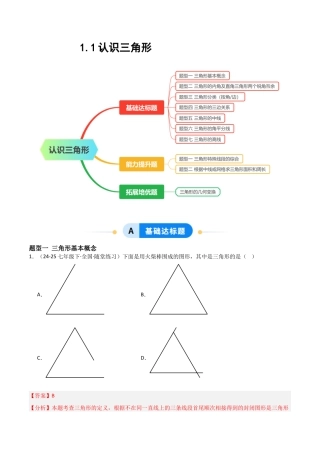 1.1认识三角形（题型专练）（解析版).docx