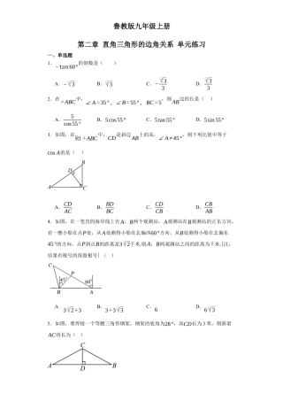 第 二章直角三角形的边角关系单元练习鲁教版 （五四制）九年级数学上册 .docx