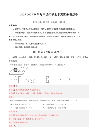 九年级数学期末模拟卷（解析版）.docx