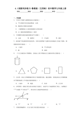 【分层练习】4.1投影同步练习 鲁教版（五四制）数学九年级上册.docx