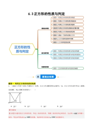 鲁教版（五四制）八年级数学下册6.3正方形的性质与判定（题型专练）（解析版）.docx