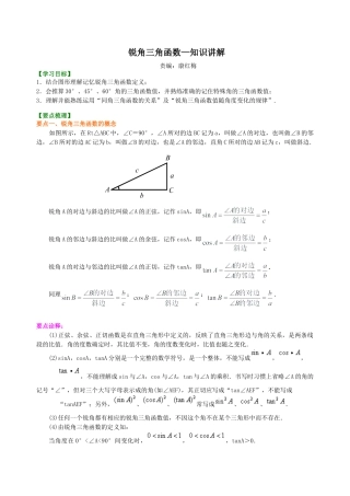 锐角三角函数—知识讲解-初中数学九年级上册（华东师大版）.doc