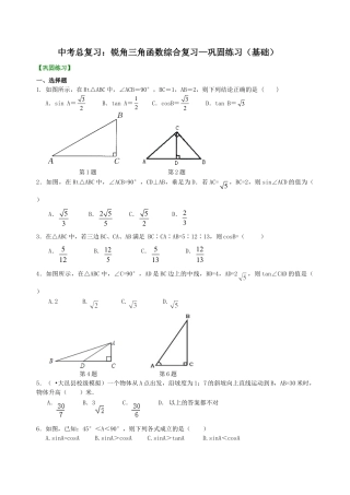 中考总复习：锐角三角函数综合复习--巩固练习（基础）（华东师大版）.doc