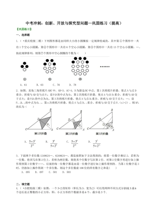 中考冲刺：创新、开放与探究型问题--巩固练习（提高） （华东师大版）.doc