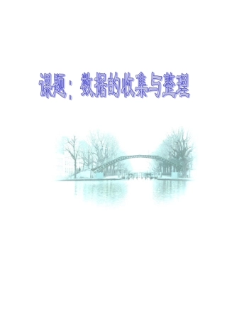 北京课改初中数学七下《9.2数据的收集与整理》word教案 (1).doc