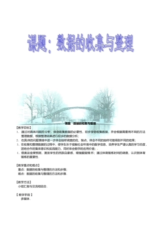 北京课改初中数学七下《9.2数据的收集与整理》word教案 (2).doc