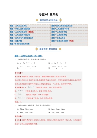 八年级数学上学期（北京版）期末模拟卷-专题05 三角形（期中专项训练）（教师版）.docx