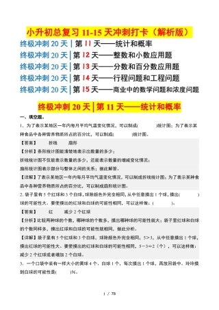 2026年小升初数学终极冲刺20天（11-15天冲刺打卡）（答案解析版）.pdf