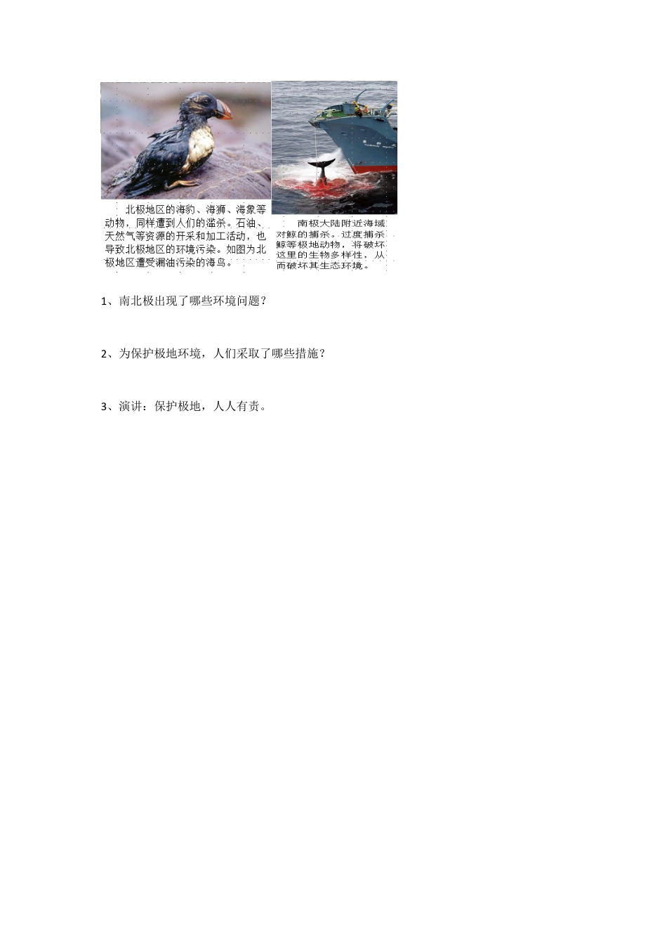 人教版七年级下册第十章极地地区导学案.doc_第3页