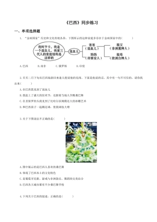 《巴西》同步练习3-人教版初中地理.doc