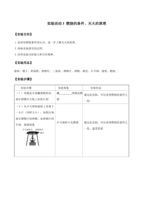 实验活动3  燃烧的条件、灭火的原理-九年级化学上册同步分层作业（人教版）.doc