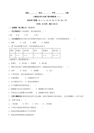 人教版化学九年级下期中模拟卷（一）（原版试卷）.doc
