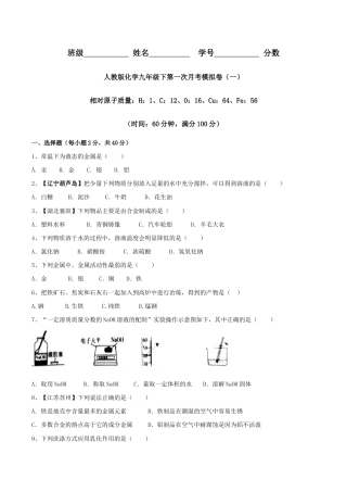 人教版化学九年级下第一次月考模拟卷（一）（原版试卷）.doc
