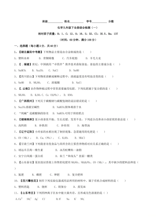 初三化学练习试卷-化学九年级下全册综合检测（一）（原版试卷）.doc