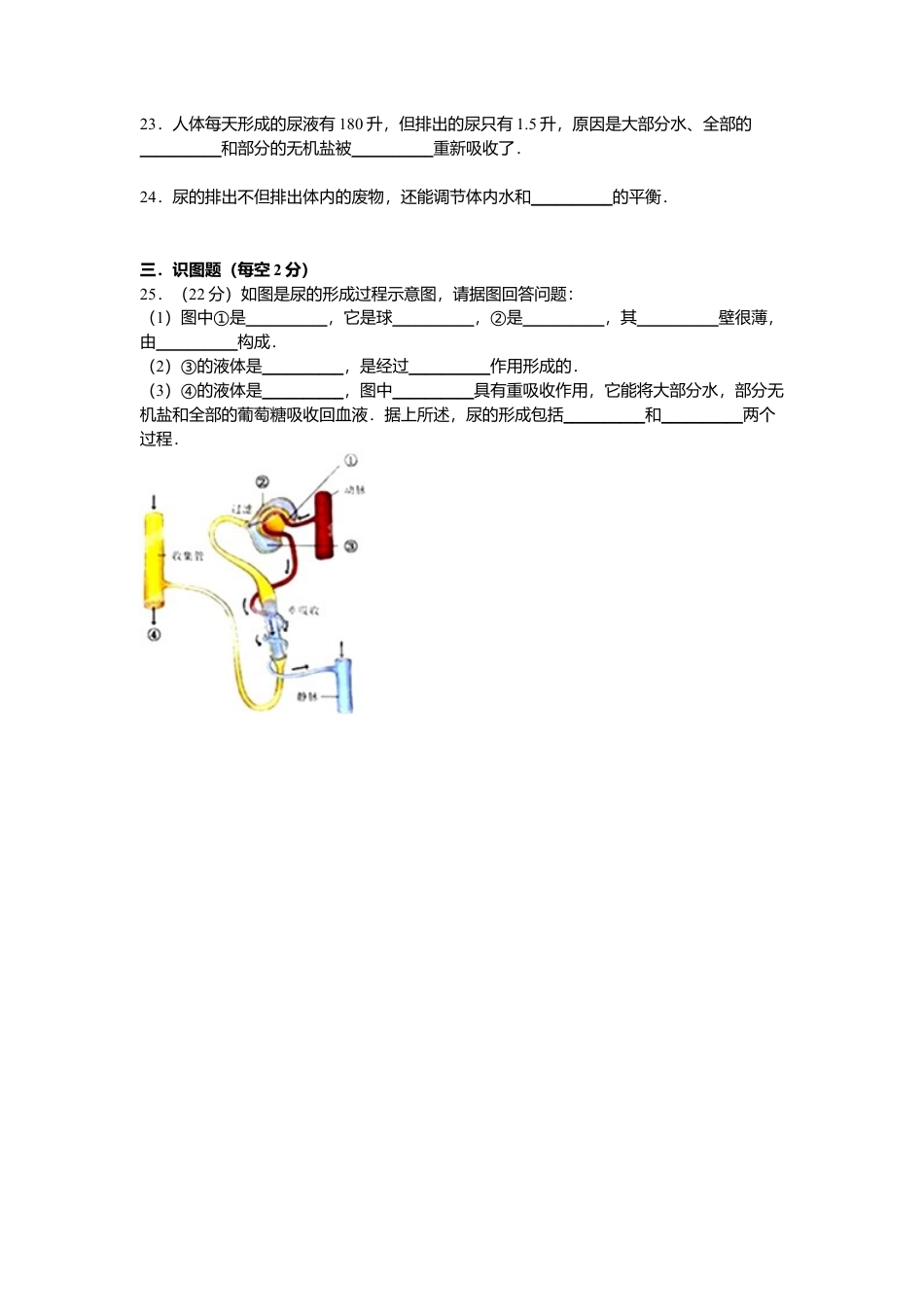 生物七年级下册-专题05-人体内废物的排出单元检测卷【解析版】.doc_第3页