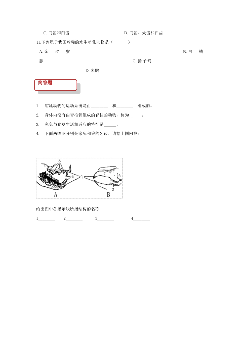 【基础练习】《哺乳动物》(生物人教八年级上册).doc_第3页