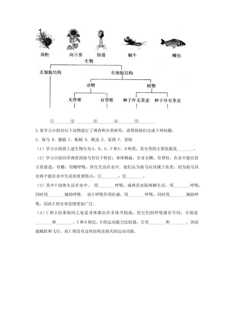 【基础练习】《尝试对生物进行分类》.doc_第3页
