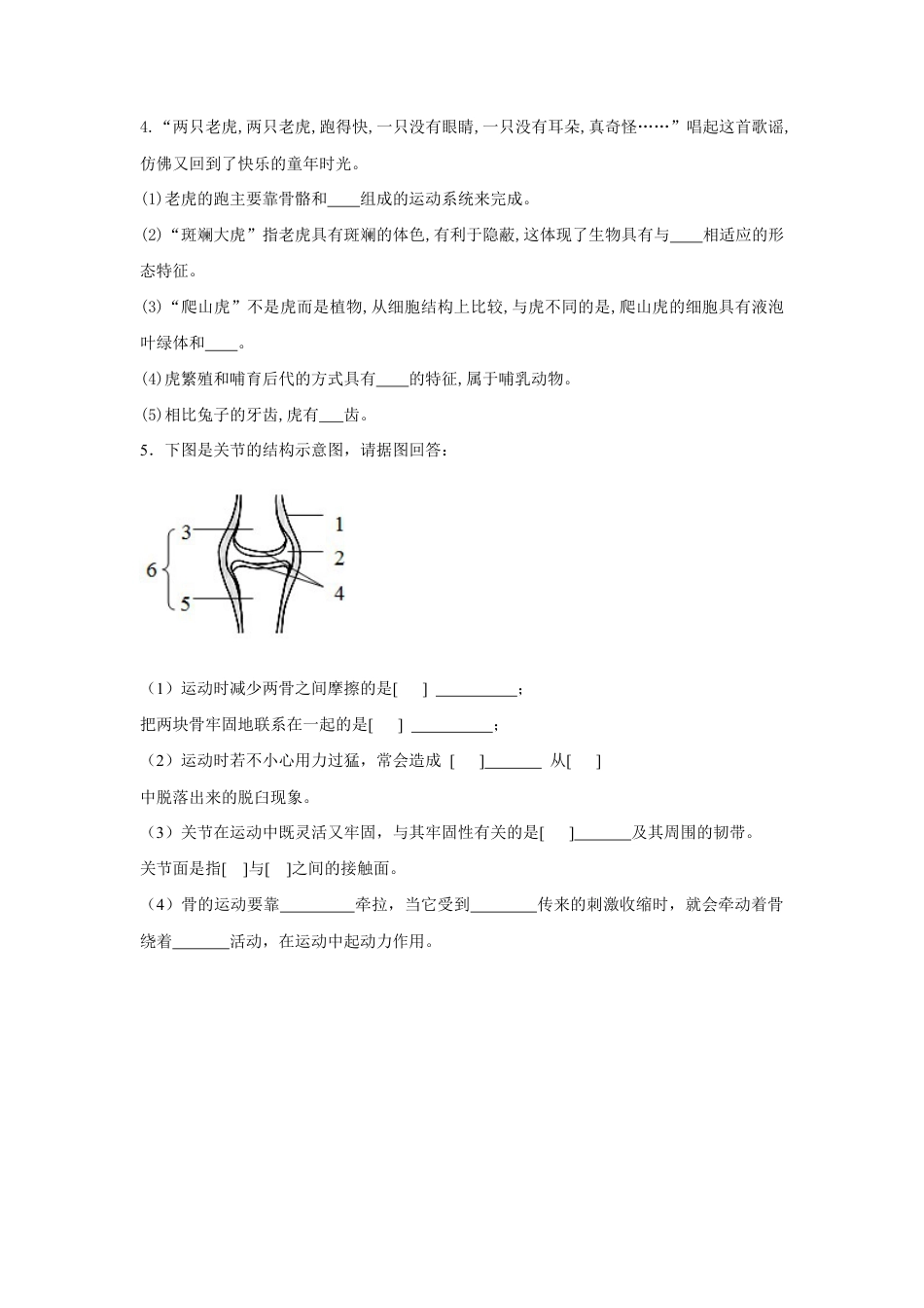 【基础练习】《动物的运动》(生物人教八年级上册).doc_第3页