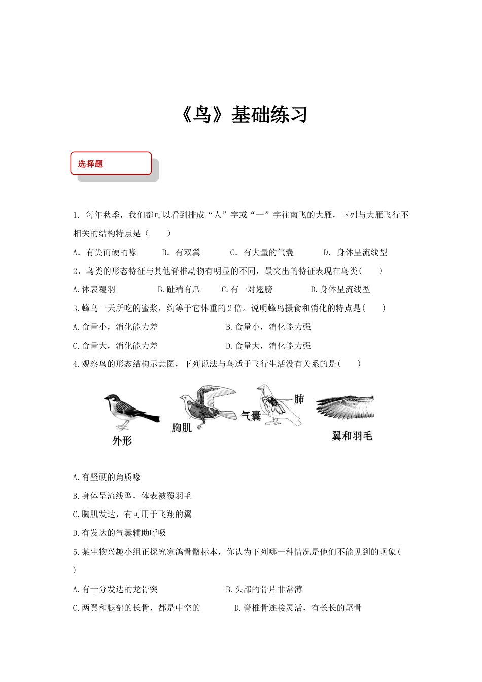 【基础练习】《鸟》(生物人教八年级上册).doc_第1页