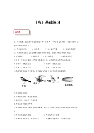 【基础练习】《鸟》（生物人教八年级上册）.doc