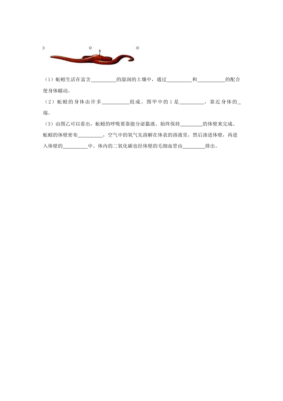 【基础练习】《线形动物和环节动物》(生物人教八年级上册).doc_第3页