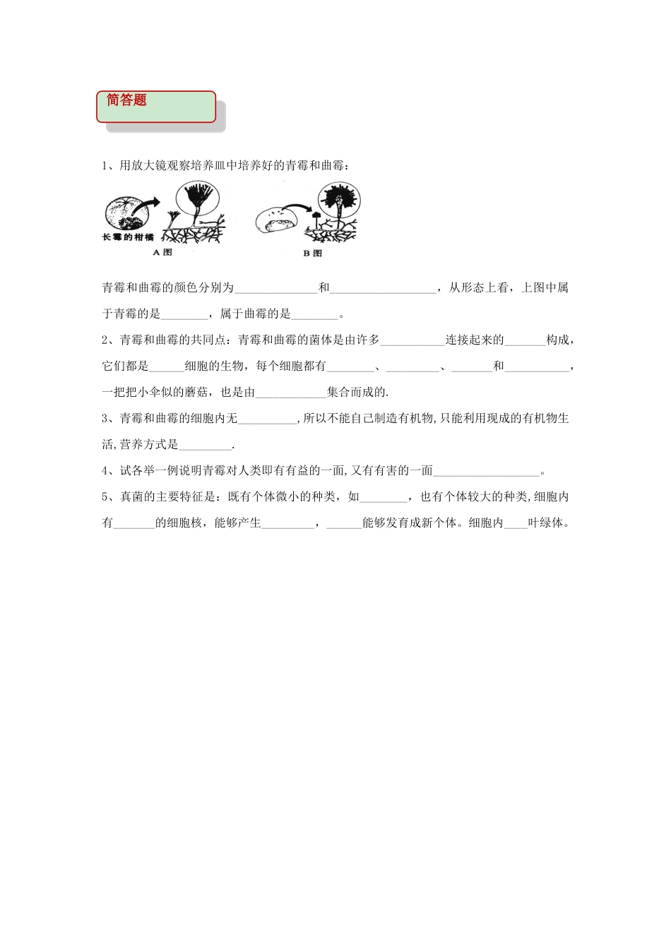 【基础练习】《真菌》(生物人教八年级上册).doc_第2页