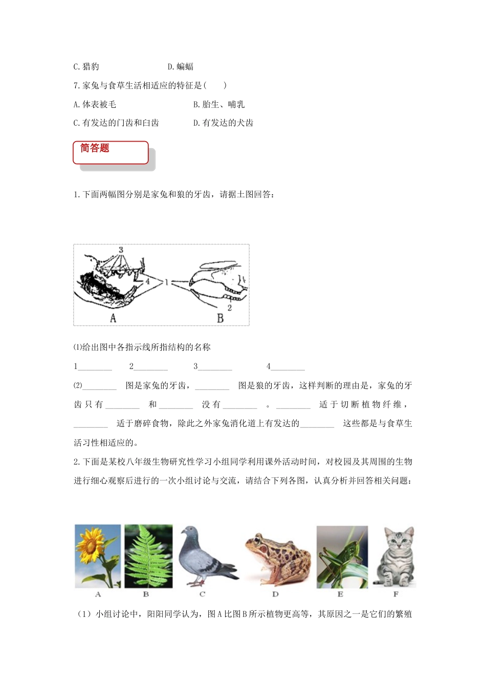 【培优练习】《哺乳动物》(生物人教八年级上册)(含解析).doc_第2页