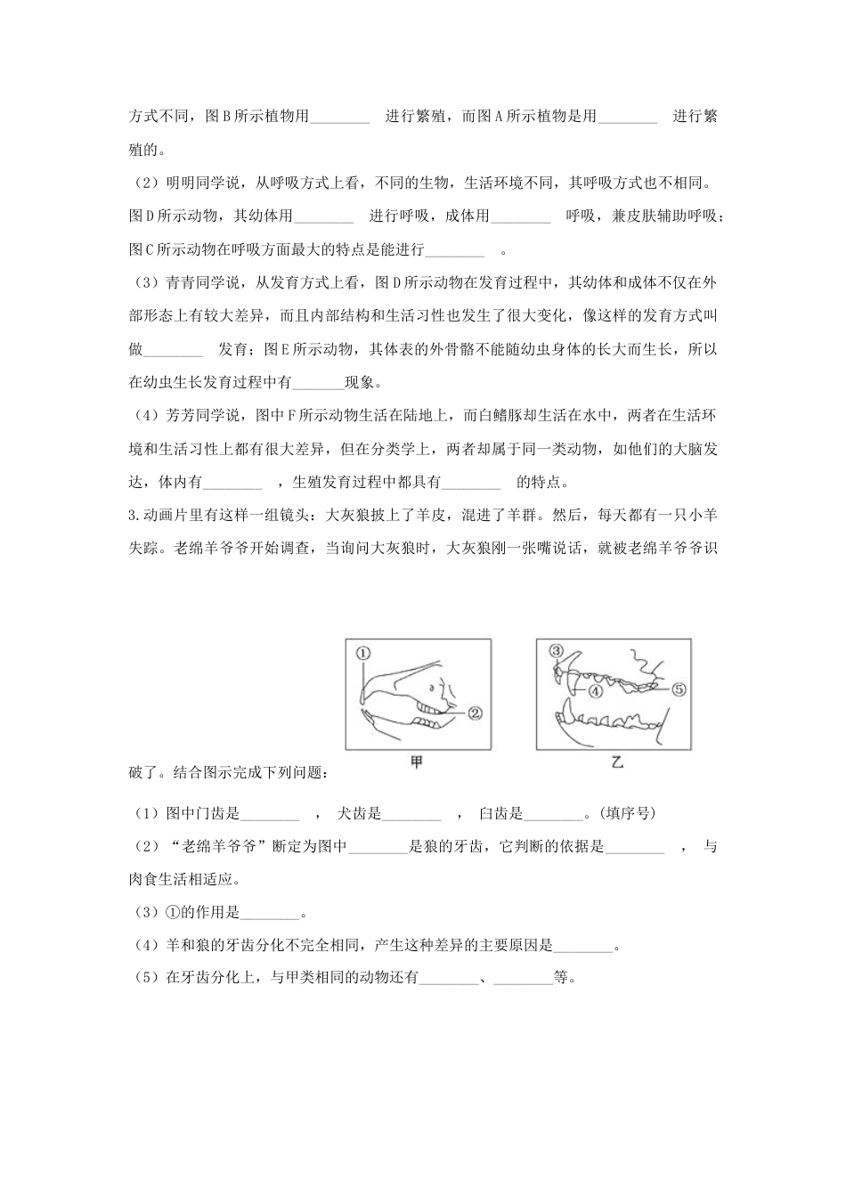 【培优练习】《哺乳动物》(生物人教八年级上册)(含解析).doc_第3页