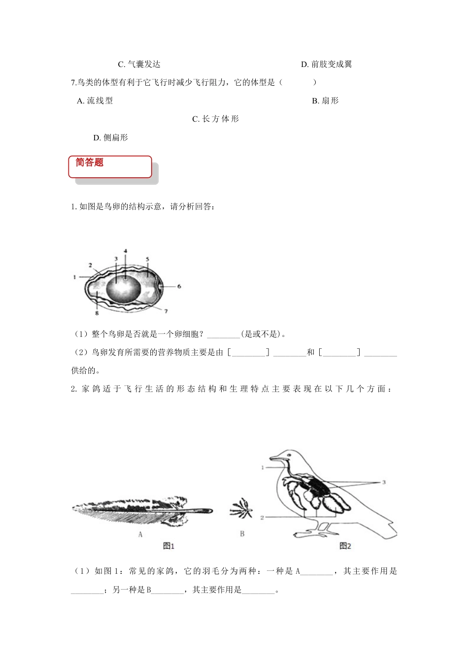【培优练习】《鸟》(生物人教八年级上册).doc_第2页