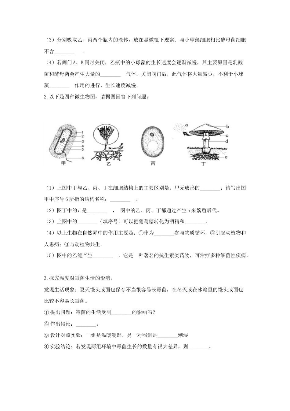 【培优练习】《真菌》(生物人教八年级上册).doc_第3页