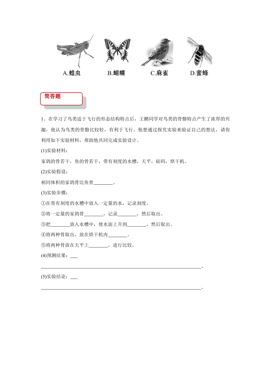 【提升练习】《鸟》(生物人教八年级上册).doc_第2页
