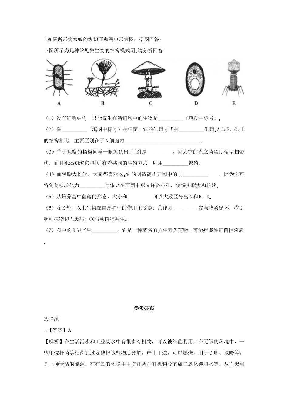 【提升练习】《细菌和真菌在自然界中的作用》(生物人教八年级上册).doc_第2页
