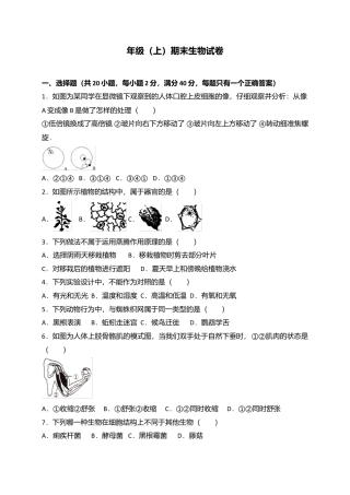 02、七年级上学期期末教学质量检测生物试卷.doc