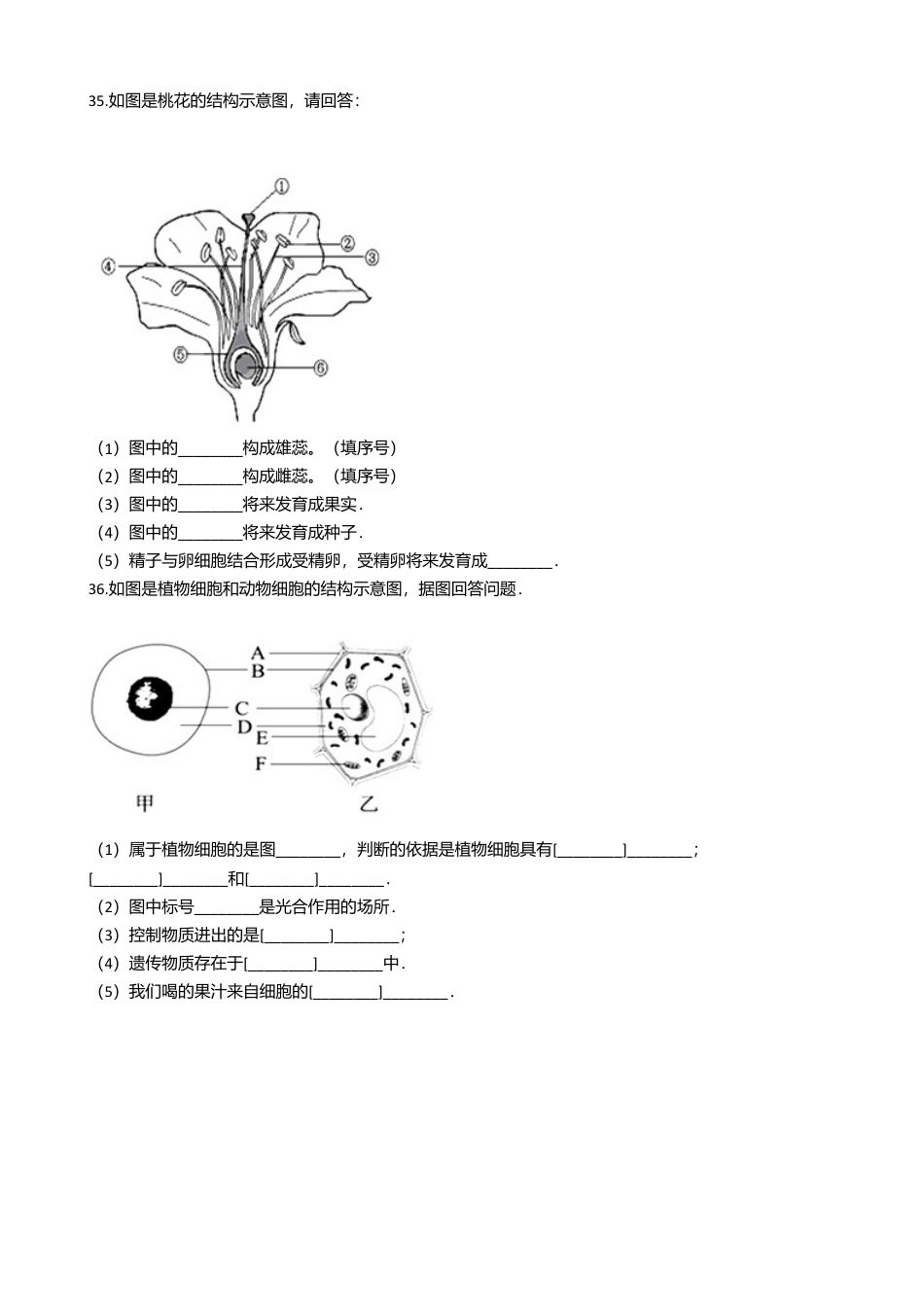 03、七年级上学期生物期末考试试卷(解析版).doc_第3页