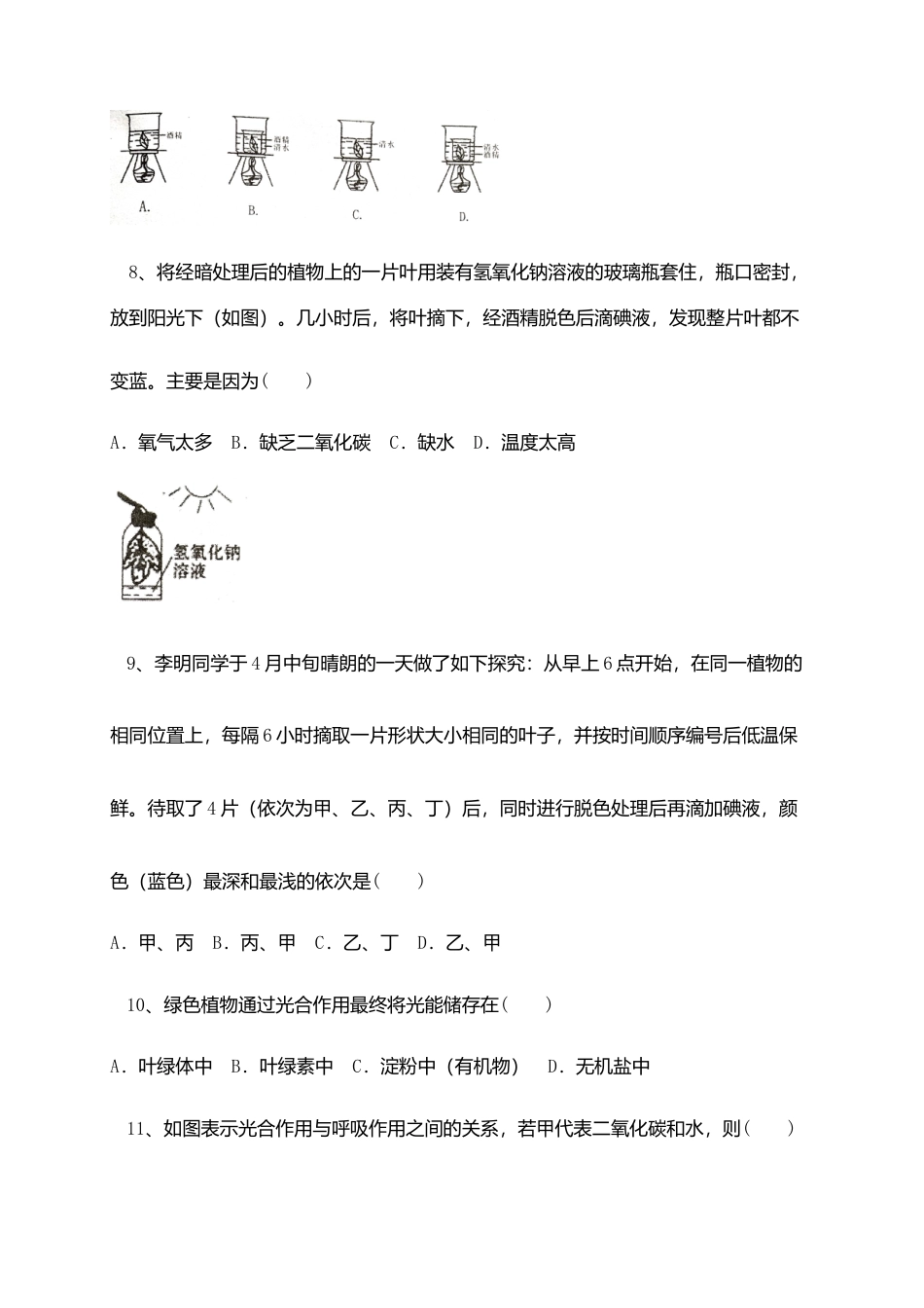 04、七年级上学期期末考试生物试题.doc_第3页