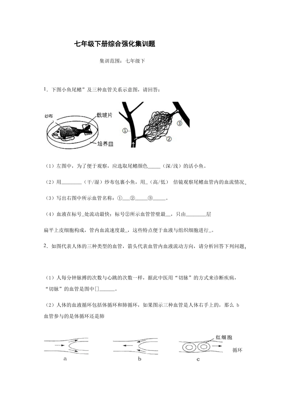 04、七年级生物下册综合测试题.docx_第1页