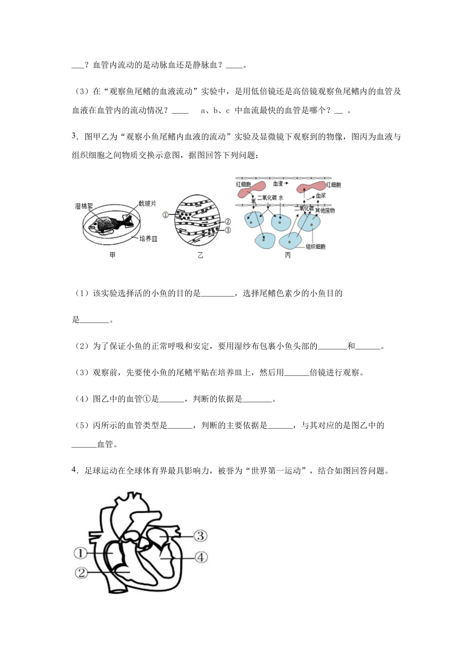 04、七年级生物下册综合测试题.docx_第2页