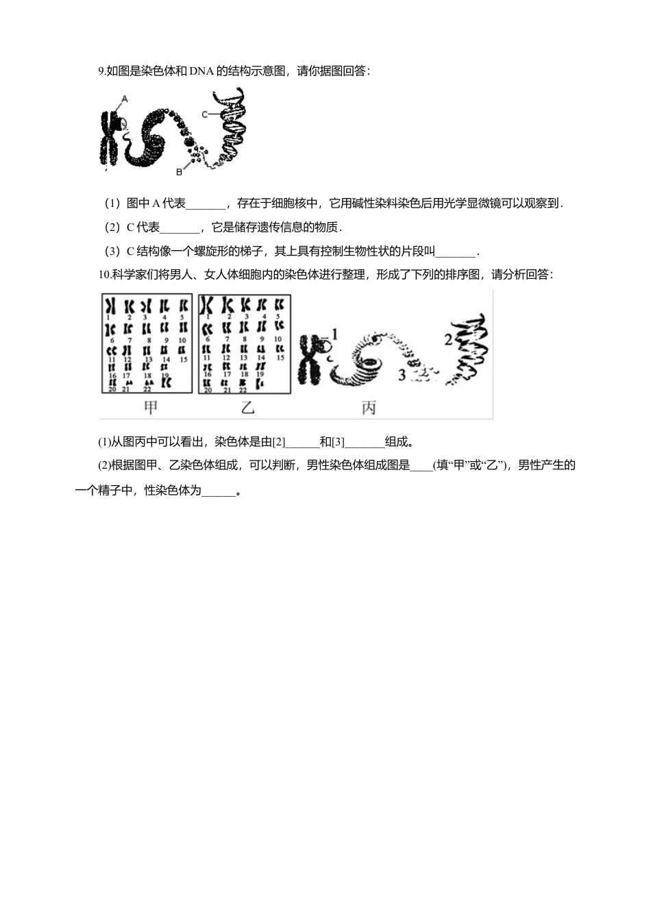 八下第七单元第二章第二节《基因在亲子代间的传递》同步练习(含答案).doc_第2页