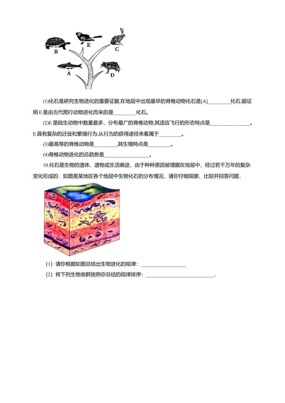 八下第七单元第三章第二节《生物进化的历程》同步练习(含答案).doc_第2页