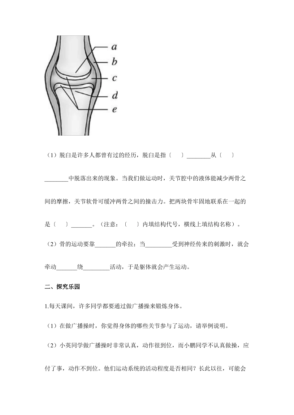 人教版生物八年级上册《动物的运动》同步练习1.doc_第3页