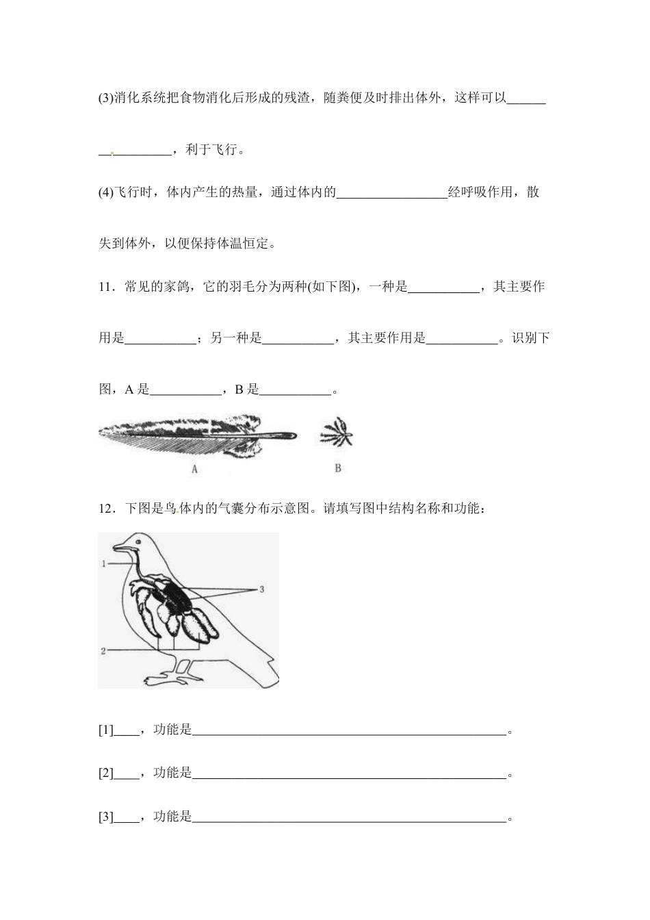 人教版生物八年级上册《鸟》同步练习.doc_第3页